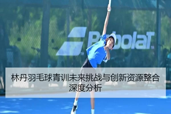 林丹羽毛球青训未来挑战与创新资源整合深度分析
