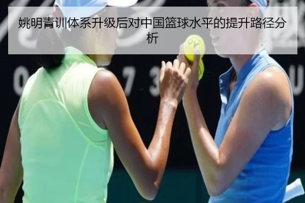 姚明青训体系升级后对中国篮球水平的提升路径分析