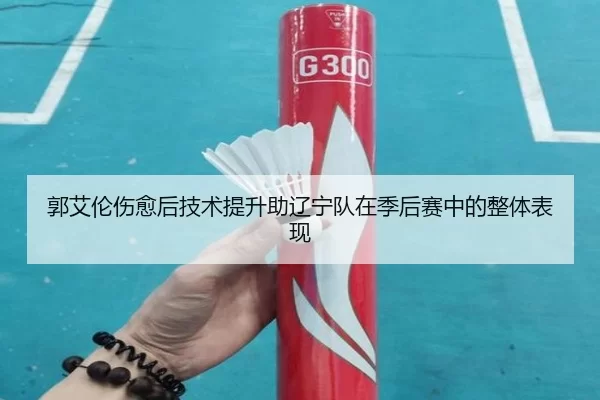 郭艾伦伤愈后技术提升助辽宁队在季后赛中的整体表现